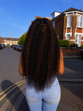 13x6 Piano Highlight Curly HD Lace Front Human Hair Wig